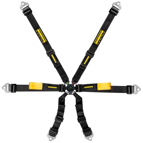 Schroth Enduro Porsche 991/981 2x2 ремни для автоспорта (2+2") (6-ти точечн.)